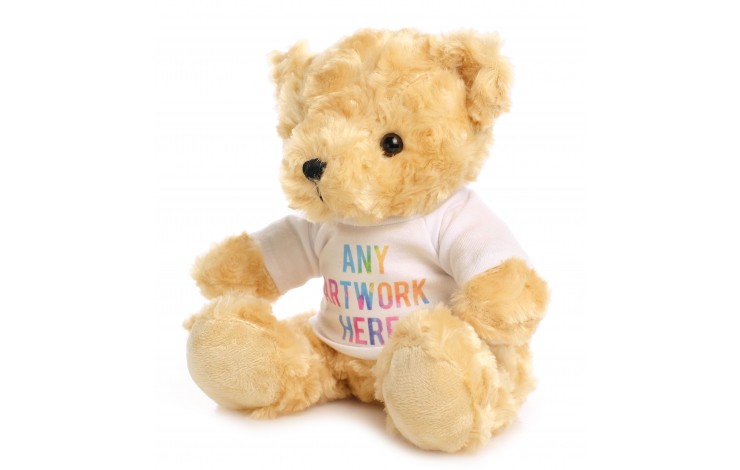 19cm Barry Bear
