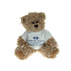 20cm Bambury Bear with T-Shirt