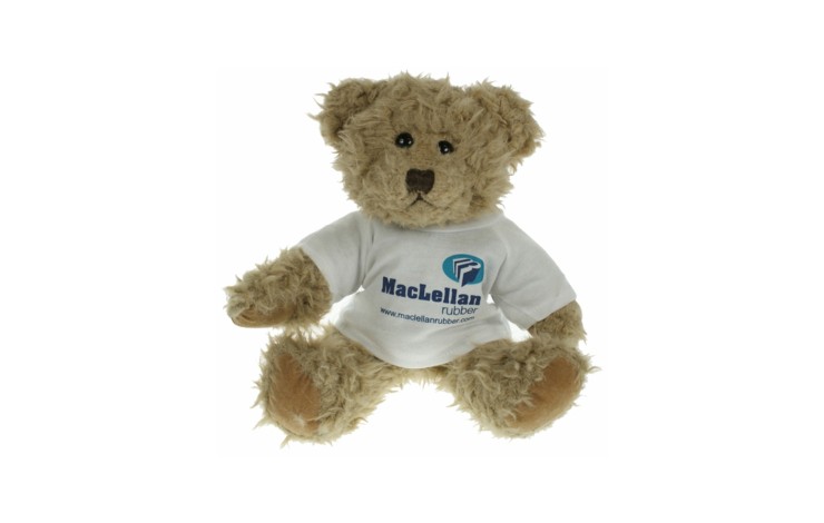 25cm Bambury Bear with T-Shirt
