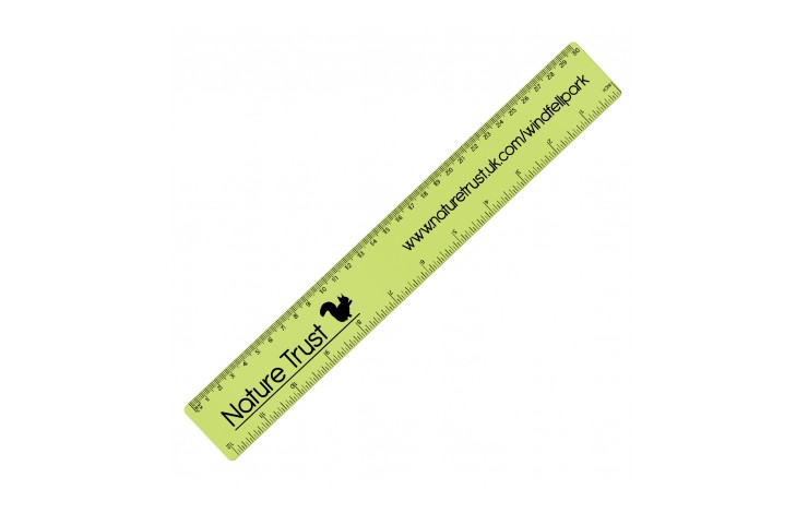 30cm Flexible Ruler