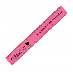 30cm Flexible Ruler