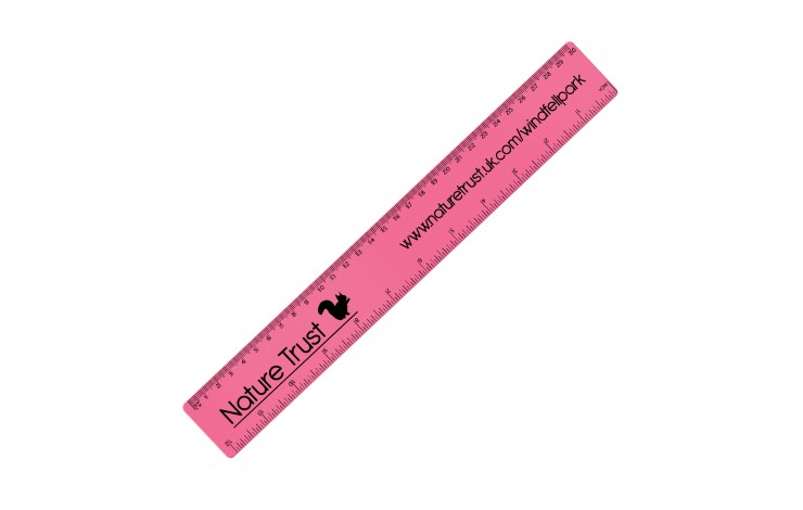 30cm Flexible Ruler