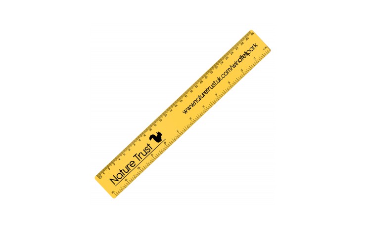 30cm Flexible Ruler