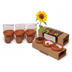 55mm Terracotta Garden Trio
