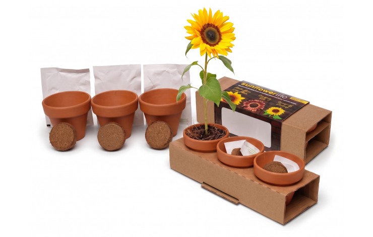 55mm Terracotta Garden Trio