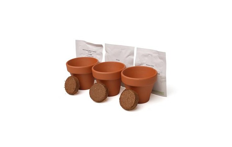 55mm Terracotta Garden Trio