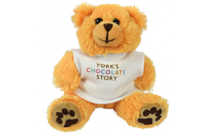 5" Dexter Bear with T Shirt