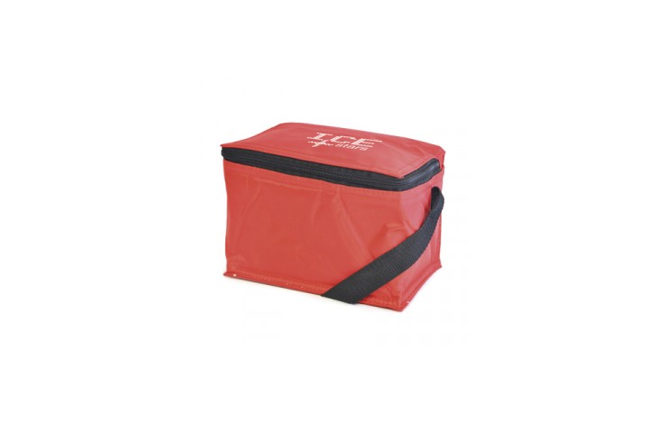 6 Can Cooler