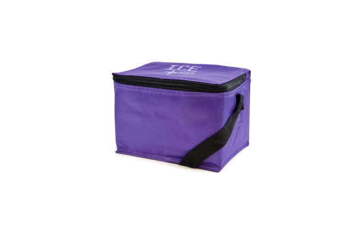 6 Can Cooler