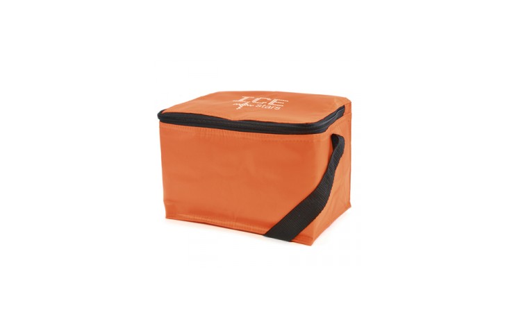6 Can Cooler