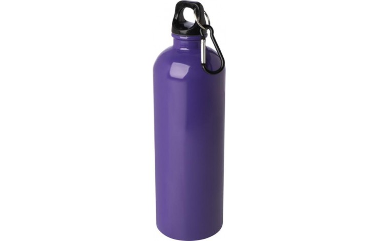 750ml Stainless Steel Water Bottle