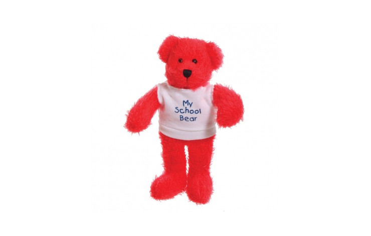 7 " Oscar Bear and T Shirt