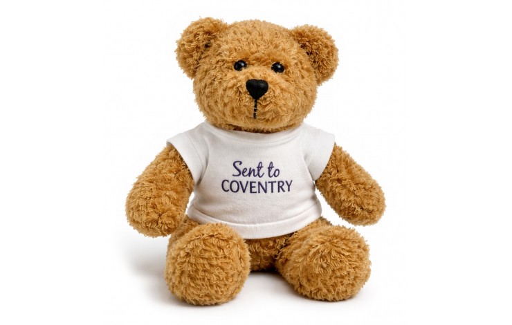 Scraggy Bear