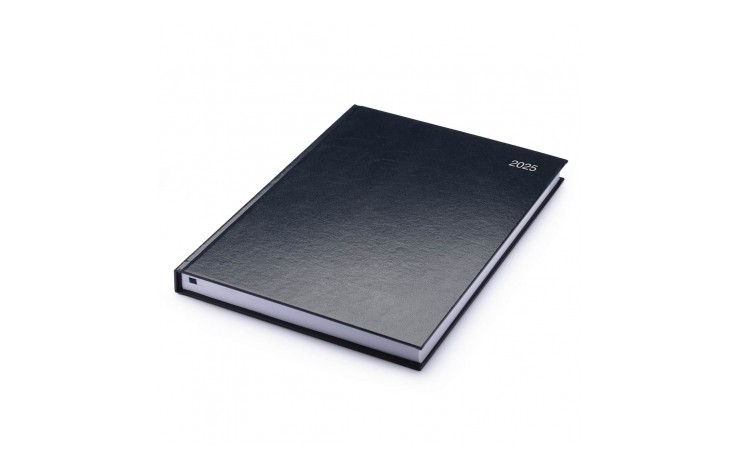 A4 Stata Diary