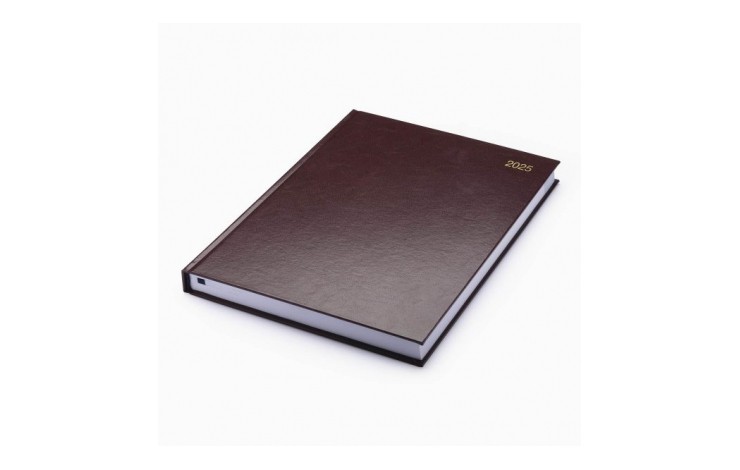 A4 Stata Diary