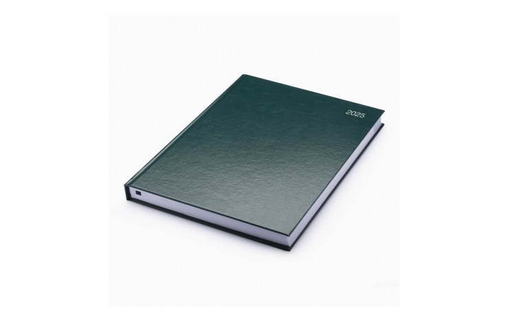 A4 Stata Diary