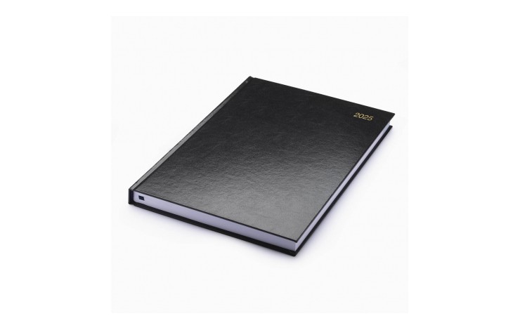 A4 Stata Diary