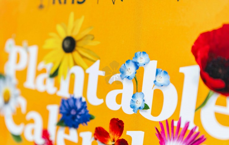 A5 Plantable Desk Calendar