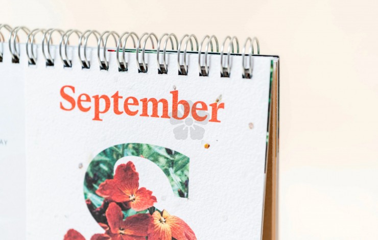 A5 Plantable Desk Calendar