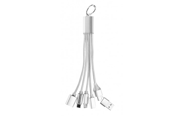 Anstey 5-in-1 Charging Cable Keyring