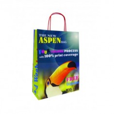 Aspen Paper Bag