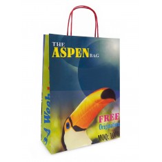 Aspen Paper Bag
