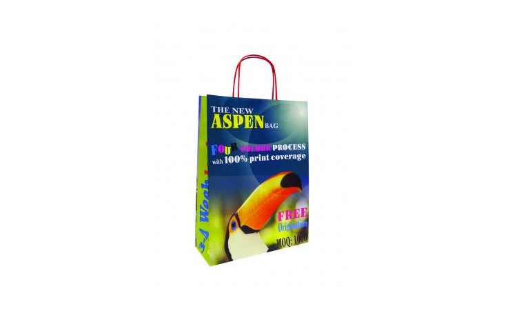 Aspen Paper Bag