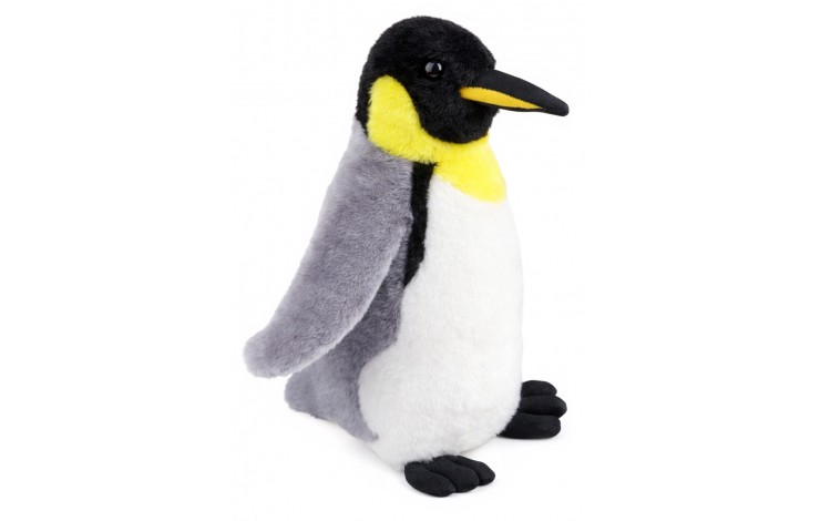 Aurora King Penguin