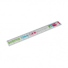 Recycled Plastic 30cm Ruler