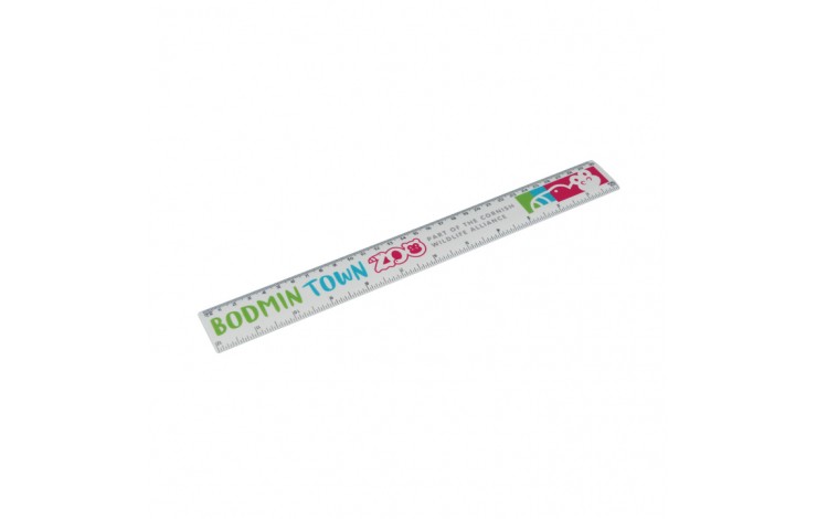 Recycled Plastic 30cm Ruler