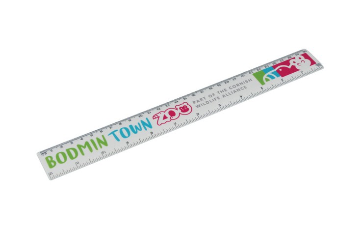 Recycled Plastic 30cm Ruler