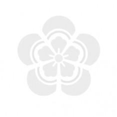 Bamboo Chopsticks & Printed Sleeve