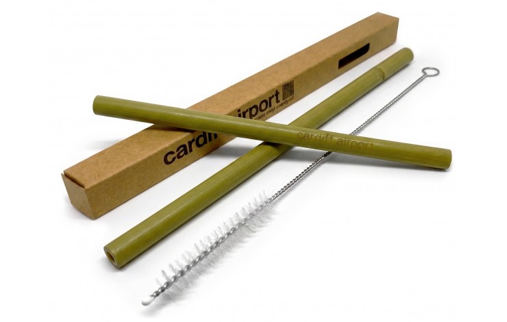 Bamboo Straw Eco Set