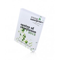 Bespoke Acrylic Award