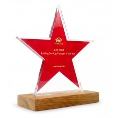 Bespoke Acrylic Award with Wood Base