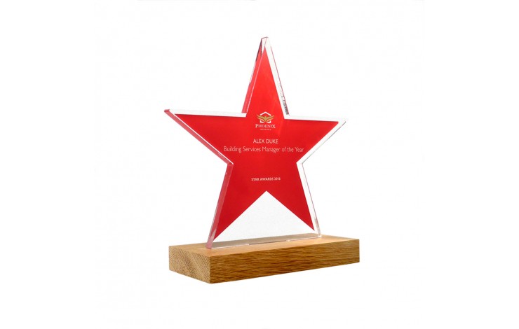 Bespoke Acrylic Award with Wood Base