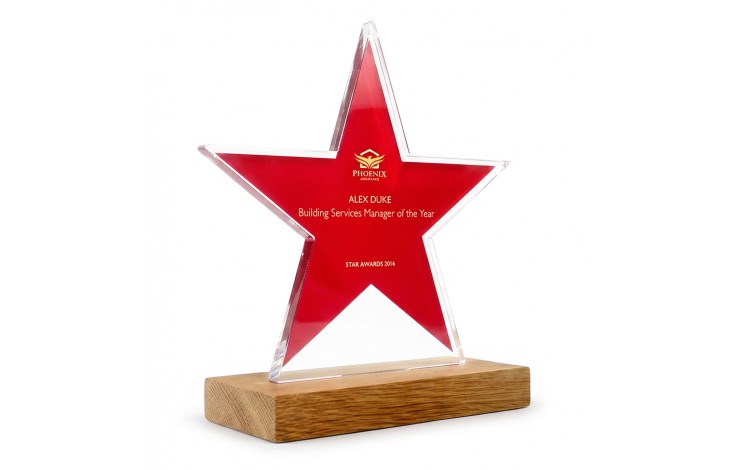 Bespoke Acrylic Award with Wood Base