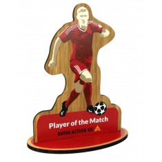 Bespoke Bamboo Award