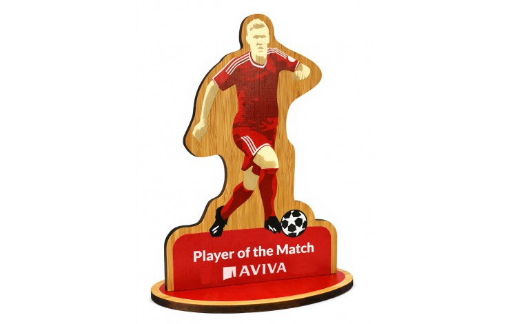 Bespoke Bamboo Award