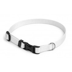 Bespoke Dog Collar