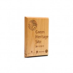 Bespoke Wooden Paperweight / Award