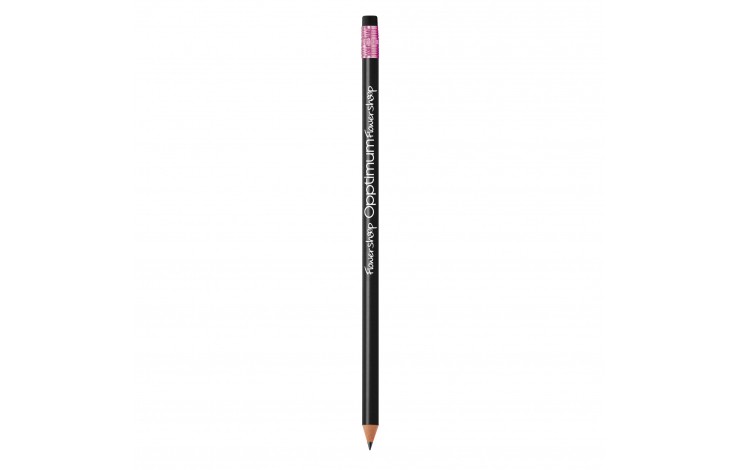 BIC Ecolutions Evolution Pencil