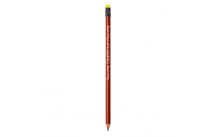 BIC Ecolutions Evolution Pencil