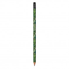 BIC Ecolutions Evolution Pencil
