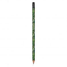 BIC Ecolutions Evolution Pencil