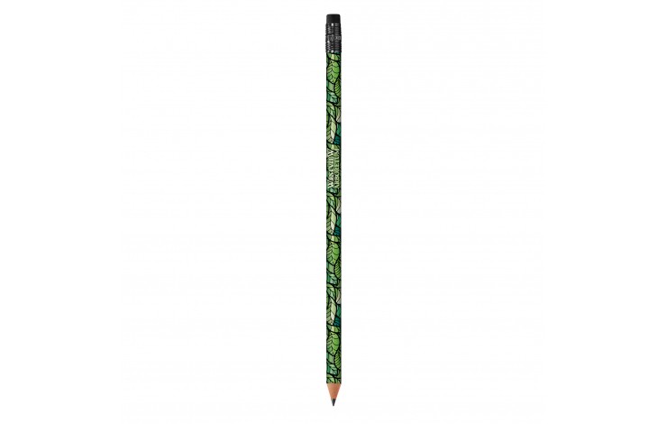 BIC Ecolutions Evolution Pencil