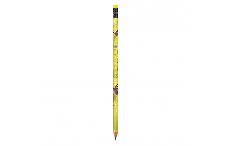 BIC Ecolutions Evolution Pencil