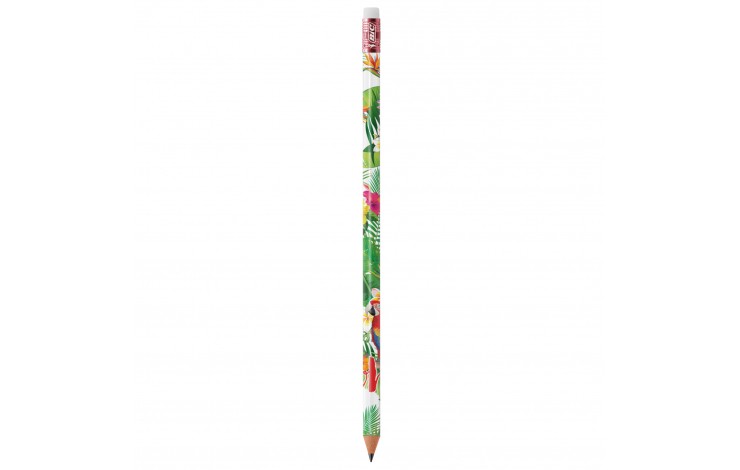 BIC Ecolutions Evolution Pencil