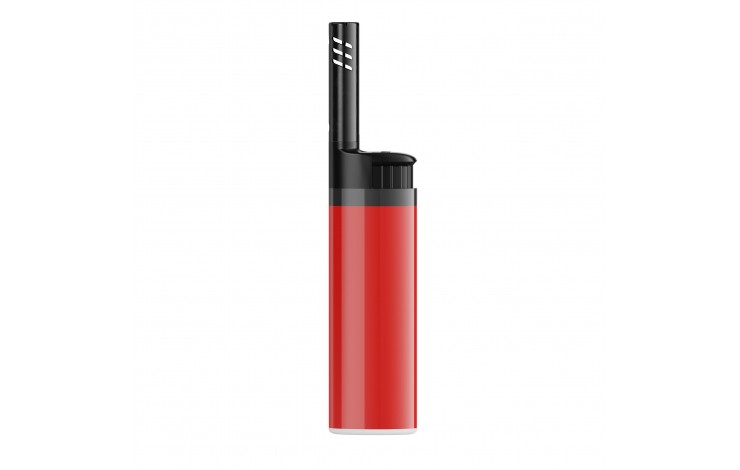 BIC EZ Reach Lighter
