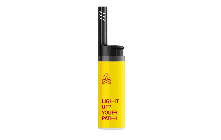 BIC EZ Reach Lighter
